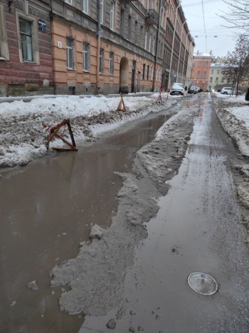 «Не зря наш город называют Северной Венецией», — иронизируют петербуржцы, второй день утопая в лужах и..