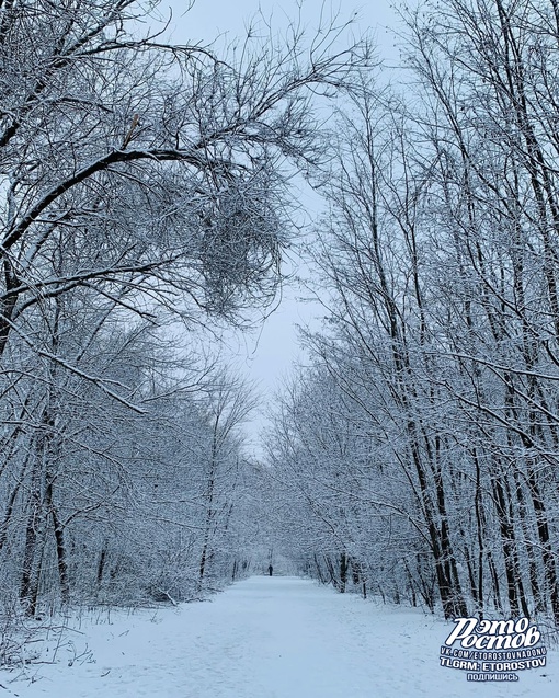 За это мы любим ростовскую зиму ❄..