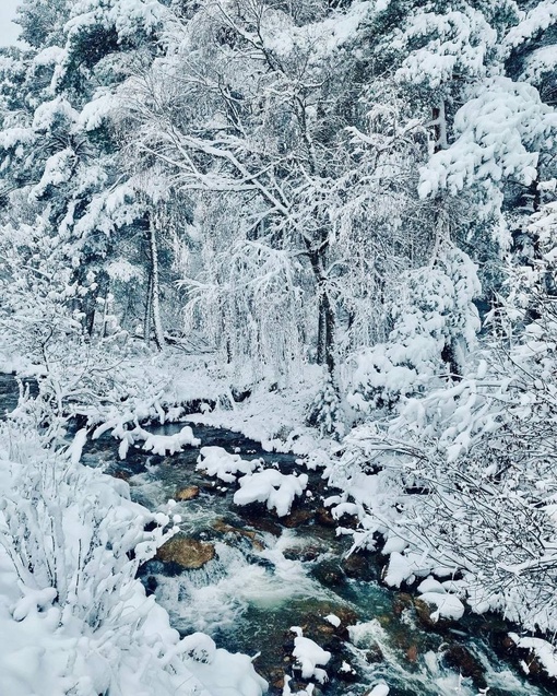 Заснеженные дороги Адыгеи❄️
📍Река Белая, Гранитный..