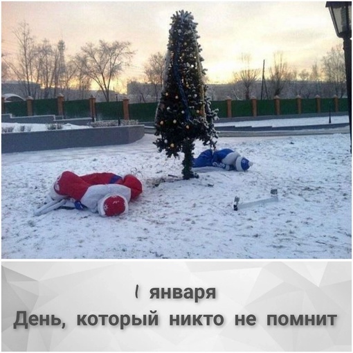 🎅Дед Мороз на утро 1 января в..