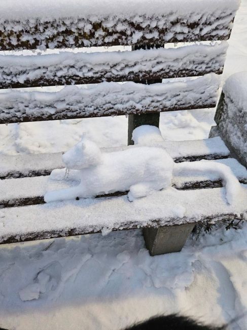 Аномальные морозы привели к тому, что в Петербурге появились снежные..