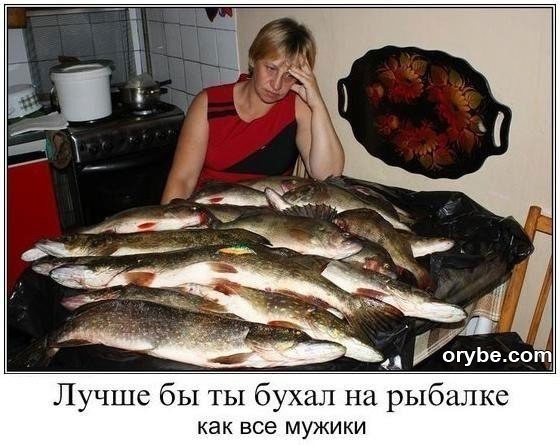 «Природа одарила трофеями»: рыбак из Выборга Юрий Южаков похвастался уловом в 11 щук. При этом две рыбы..