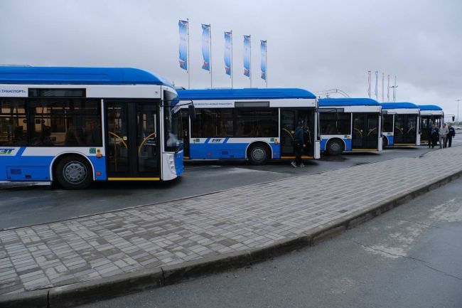 Еще 49 автономных троллейбусов доставят в Новосибирск в этом году

Новенькие троллейбусы заменят старые  на..