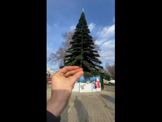 Демонтаж ёлки 🎄 видео..