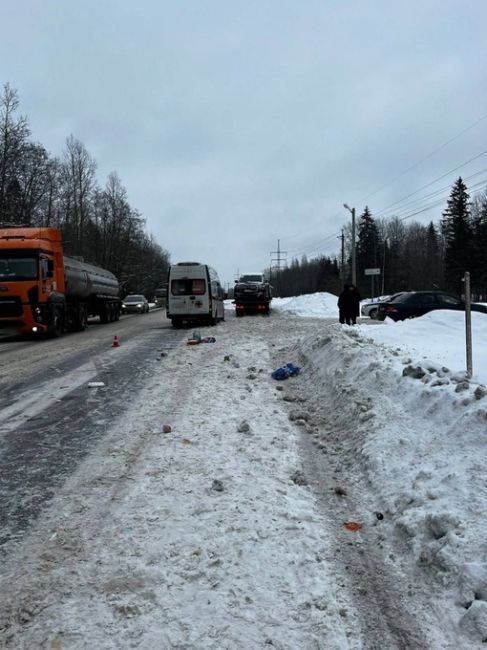 В Гатчинском районе Ленобласти на 9-м километре дороги «Гатчина-Ополье» эвакуатор сбил двух пешеходов прямо..