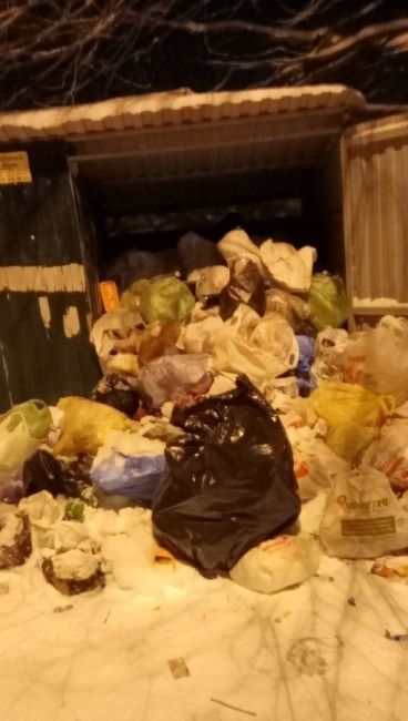На Южном по ул.Братская 171, Сахалинская 3, не вывозится мусор лежит уже вторую неделю, собаки все разрывают..