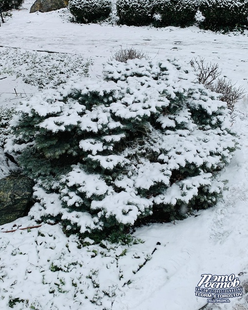 За это мы любим ростовскую зиму ❄..