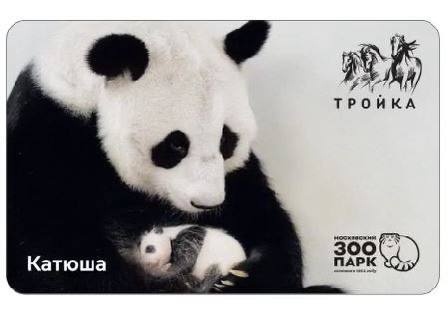 В Москве выпустили карту «Тройка» с изображением панды Катюши из Московского зоопарка.

Всего появилось три..