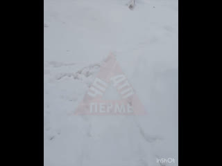 От подписчиков 

Очерский городской округ, рп. Павловский. Снегопады как почти неделю прекратились, а никто..