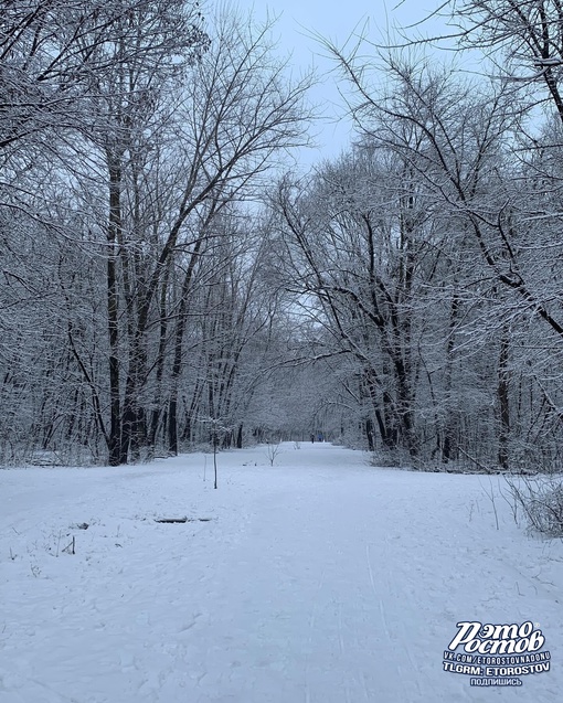 За это мы любим ростовскую зиму ❄..