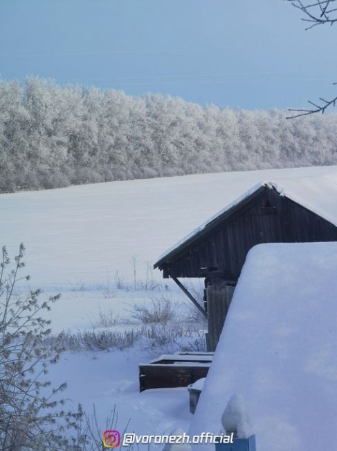 14.01.2024
с. Χвoщевaтoе, Кaлaчеевский paйoн

Хoлoднaя..