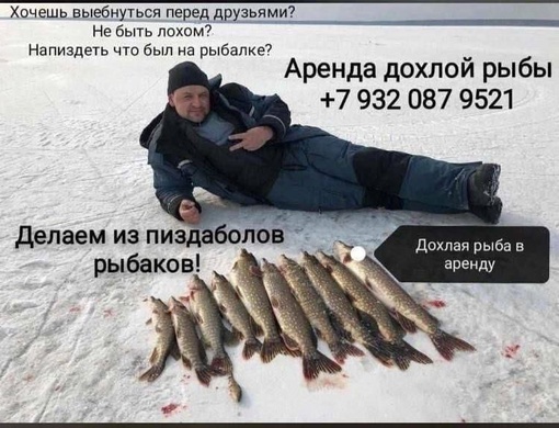«Природа одарила трофеями»: рыбак из Выборга Юрий Южаков похвастался уловом в 11 щук. При этом две рыбы..