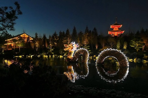 Вечером дракон в Японском саду преображается — начинает светиться 🐉 

Фото..