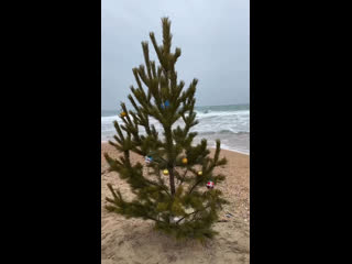 «Благовещенский пляж вчера посетили Дед Мороз и снегурочка 🤶 Нарядили елку на берегу моря, водили хоровод с..
