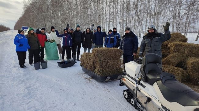 Омичка в одиночку организовала акцию по выводу косуль из города

Омичка Татьяна Пальшина на своей странице в..