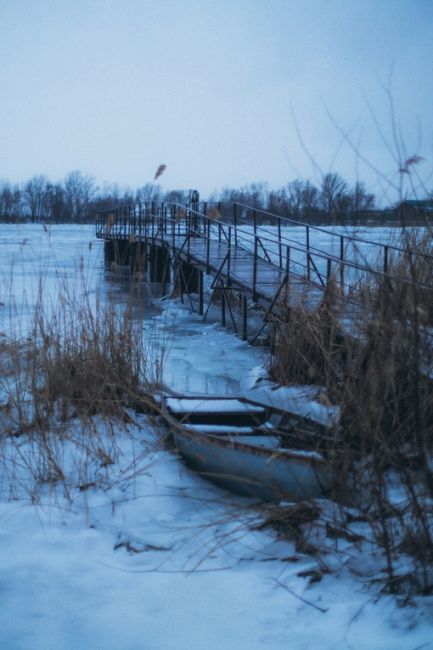 Январские пейзажи в станице Старочеркасской..