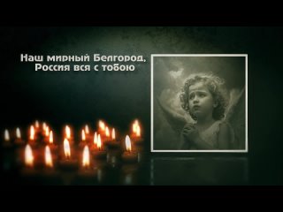 «Белгород, мы с тобой»: в Воронеже поддерживают..