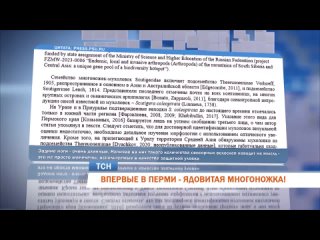 ‼В Перми учёные обнаружили нового членистоногого. 

Это многоножка-мухоловка. Причём нашли эти организмы в..