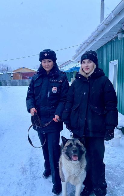 Омские полицейские три дня искали владельца породистой собаки

Омские полицейские нашли владельца собаки..