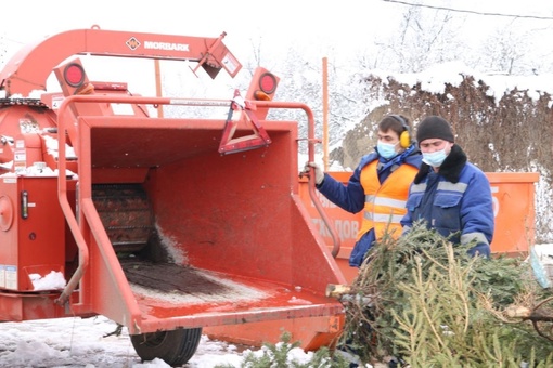 🎄Краснодарцы могут сдать новогодние деревья на утилизацию для переработки 

Для этого необходимо до 16..