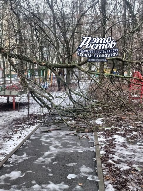 ⚠ «Два месяца прошло после ледяного дождя. Эта ветка до сих пор лежит на детской плошадке, а во время..