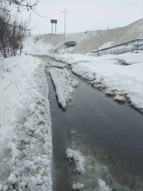 Около остановки Красавинский мост прорвало канализацию. Куда теперь это все? В..