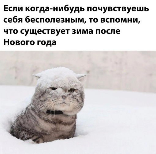 В Волгограде долгожданная зимняя сказка ❄🌨

Гулять по снежному городу — отдельное удовольствие..