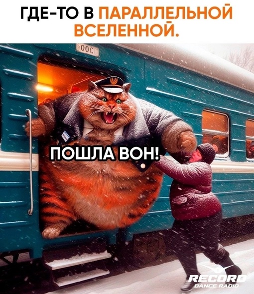 СК проверяет действия проводницы, выбросившей кота Твикса из поезда в Кирове, после чего он погиб. Напомним,..