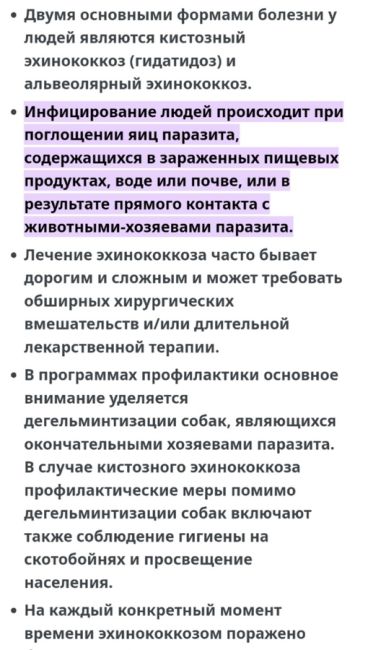 Из-за паразита в мозгу 12-летний челябинский школьник скатился по учёбе, перестал чувствовать конечности и..