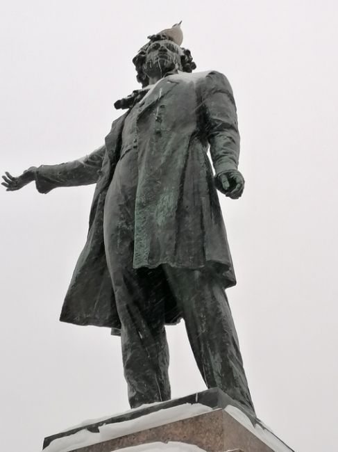 Наш подписчик заметил, как чайки любят памятник Пушкину на площади..