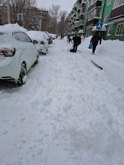 Жильцы дома кировского района ул Чкалова 7 вышли чистить снег на придомовой территории в связи с ухудшением..