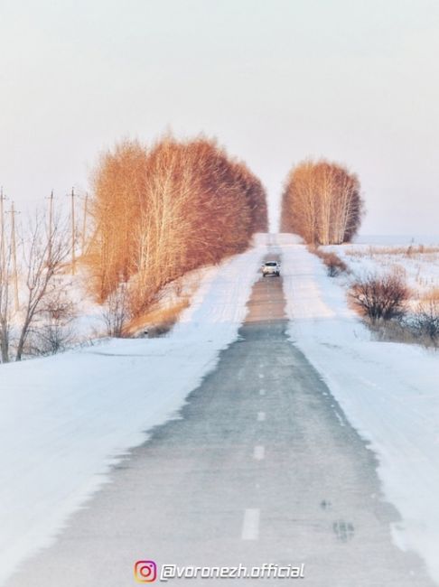 Зимняя дорога😍

📷Γеннaдий..