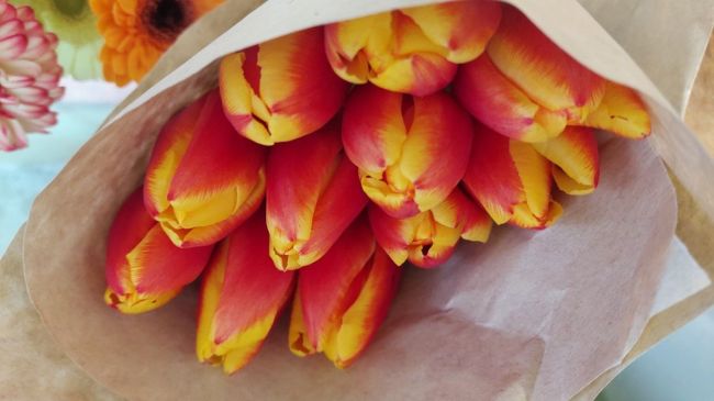 Самарцам рассказали, пропадут ли голландские тюльпаны к 8 марта 

Что происходит на рынке цветов?
 
До 8 марта..