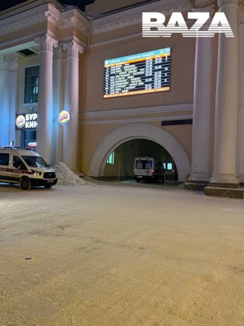 В поезде Москва — Чита умерла семимесячная девочка. Предварительно, она вместе с мамой и братьями..