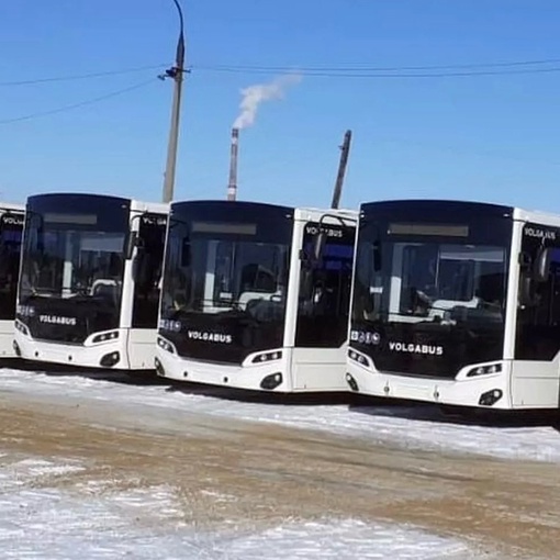 Ура! 🥳 Волгоград получил 25 новых низкопольных пассажирских автобусов «Волгабас» 🚌

🚍 Каждый из них..