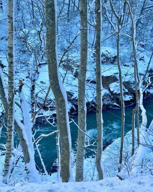 Заснеженные дороги Адыгеи❄️
📍Река Белая, Гранитный..