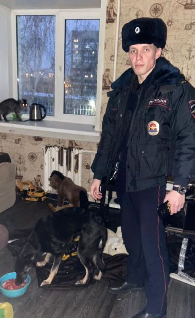 В Новосибирске сотрудники полиции помогли запертым в квартире собаке и кошке. Ранее о животных..
