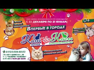 Реклама. ООО "Флора и🎁 ДАРИМ 10 БИЛЕТОВ В УЮТНОЕ КОТОПРОСТРАНСТВО В ВОРОНЕЖЕ 🎁

«Кот и Кисы» - это место, в котором собрано более 30..