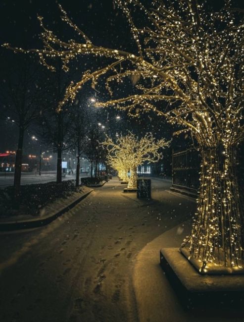 ✨ Недолго нам осталось любоваться новогодней инсталляцией.

В Москве начали убирать новогодние ели и часть..
