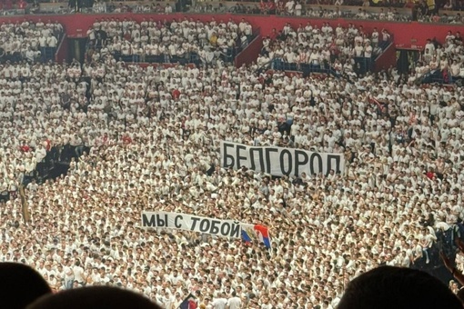 «Белгород, мы с тобой!»: Сербские баскетбольные болельщики вывесили баннер в знак поддержки Белгорода во..