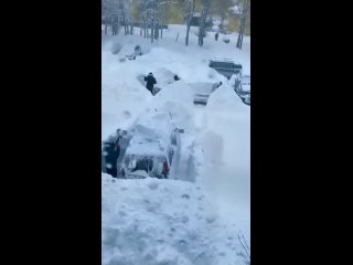 Живу в Казани. Точнее, на окраине в достаточно закрытом ЖК. У нас пятиэтажки и таун-хаусы.

Нас несколько дней..