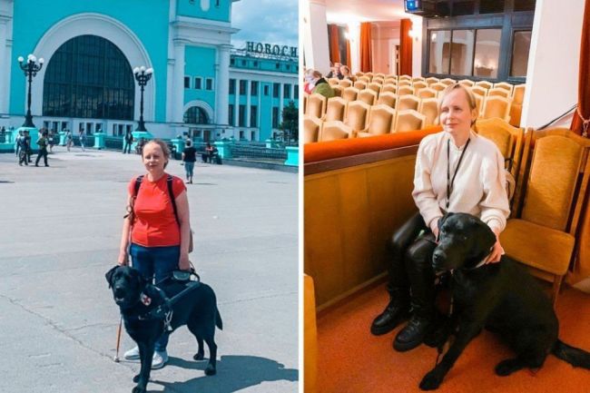 В Новосибирске завели уголовное дело после гибели собаки-поводыря в троллейбусе 
  
Почти полгода прошло..