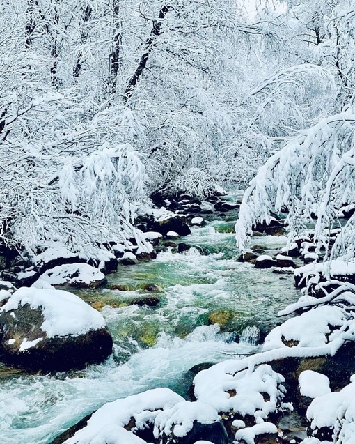 Заснеженные дороги Адыгеи❄️
📍Река Белая, Гранитный..