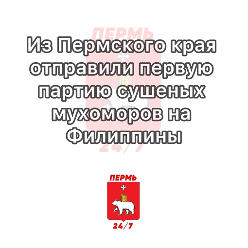 Из Пермского края отправили первую партию сушеных мухоморов на Филиппины

«На Филиппины отправили 0,48..