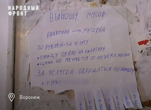 В Воронеже дети организовали бизнес по выносу мусора в мороз

Это объявление на одной из многоэтажек на..