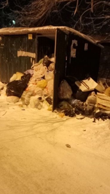 На Южном по ул.Братская 171, Сахалинская 3, не вывозится мусор лежит уже вторую неделю, собаки все разрывают..