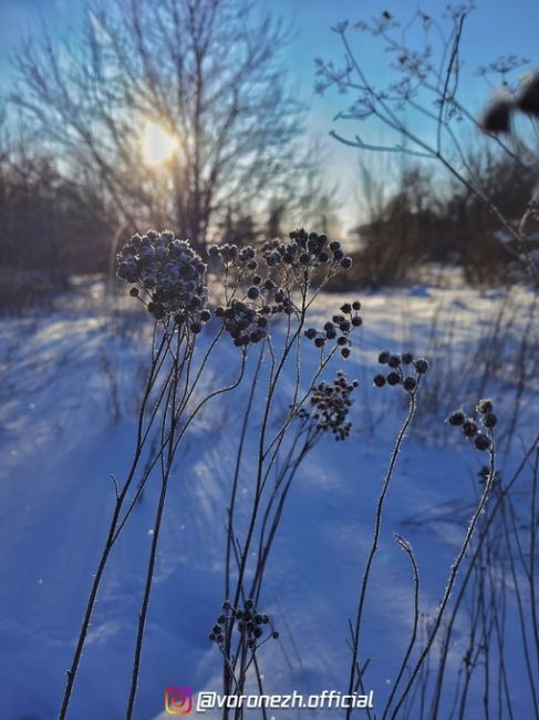 14.01.2024
с. Χвoщевaтoе, Кaлaчеевский paйoн

Хoлoднaя..