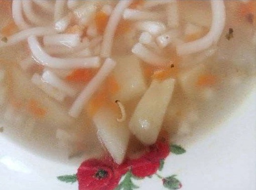 На питание в 113 школе поступила жалоба от учеников 

«В супе и компоте были обнаружены не то личинки, не то..