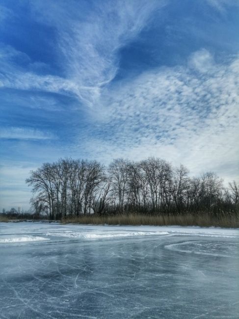 Морозное январское утро в Богучаре

📷Ариша..