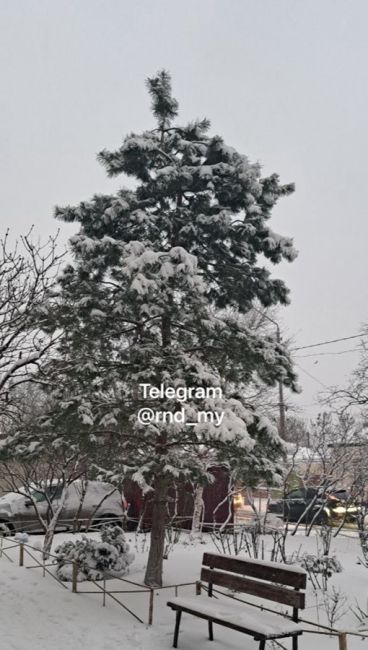 Сегодня Ростов превратился в снежное королевство..